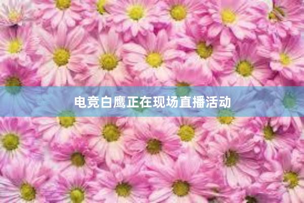 电竞白鹰正在现场直播活动