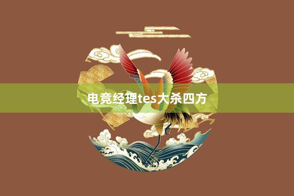 电竞经理tes大杀四方